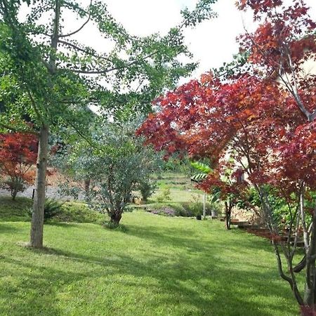 Istanti - Salvia Apartment Costigliole Saluzzo Luaran gambar